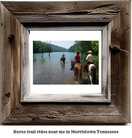 horse trail rides near me in Morristown, Tennessee